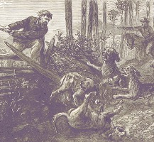Fugitive Federals